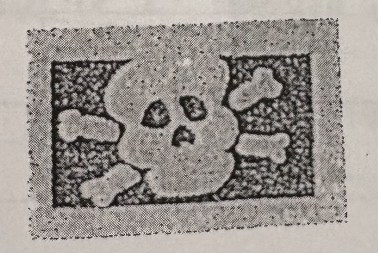 knowt flashcard image