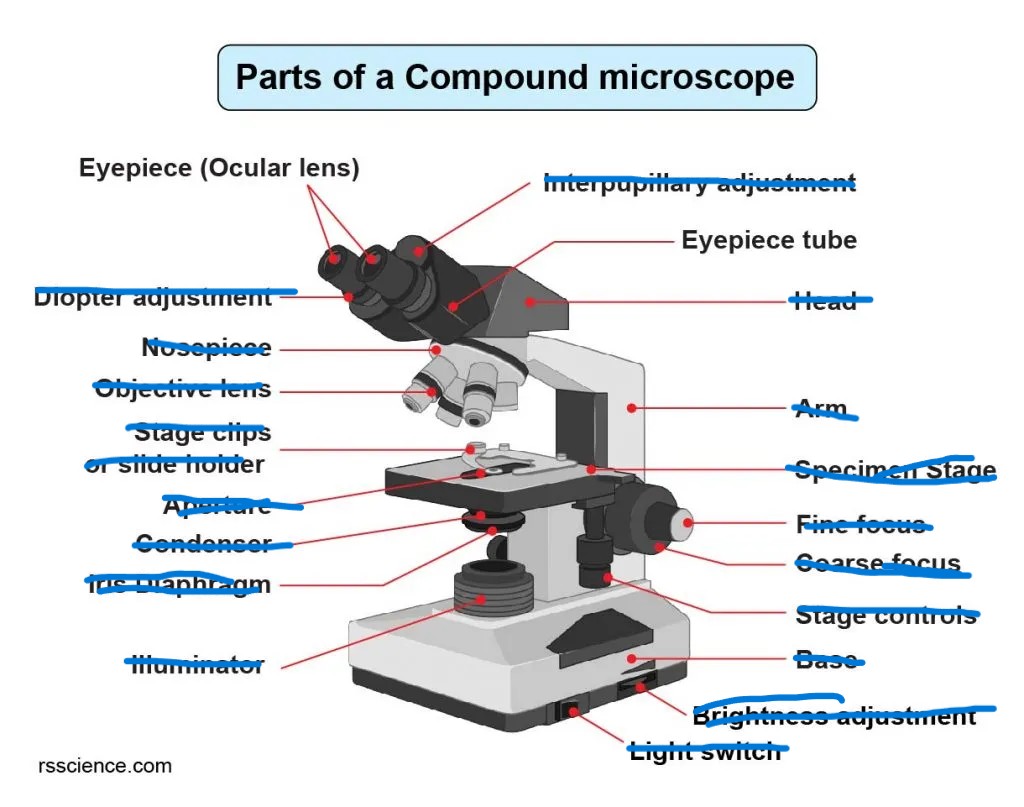 <p>A place where you put your eyes onto to view the specimen</p>
