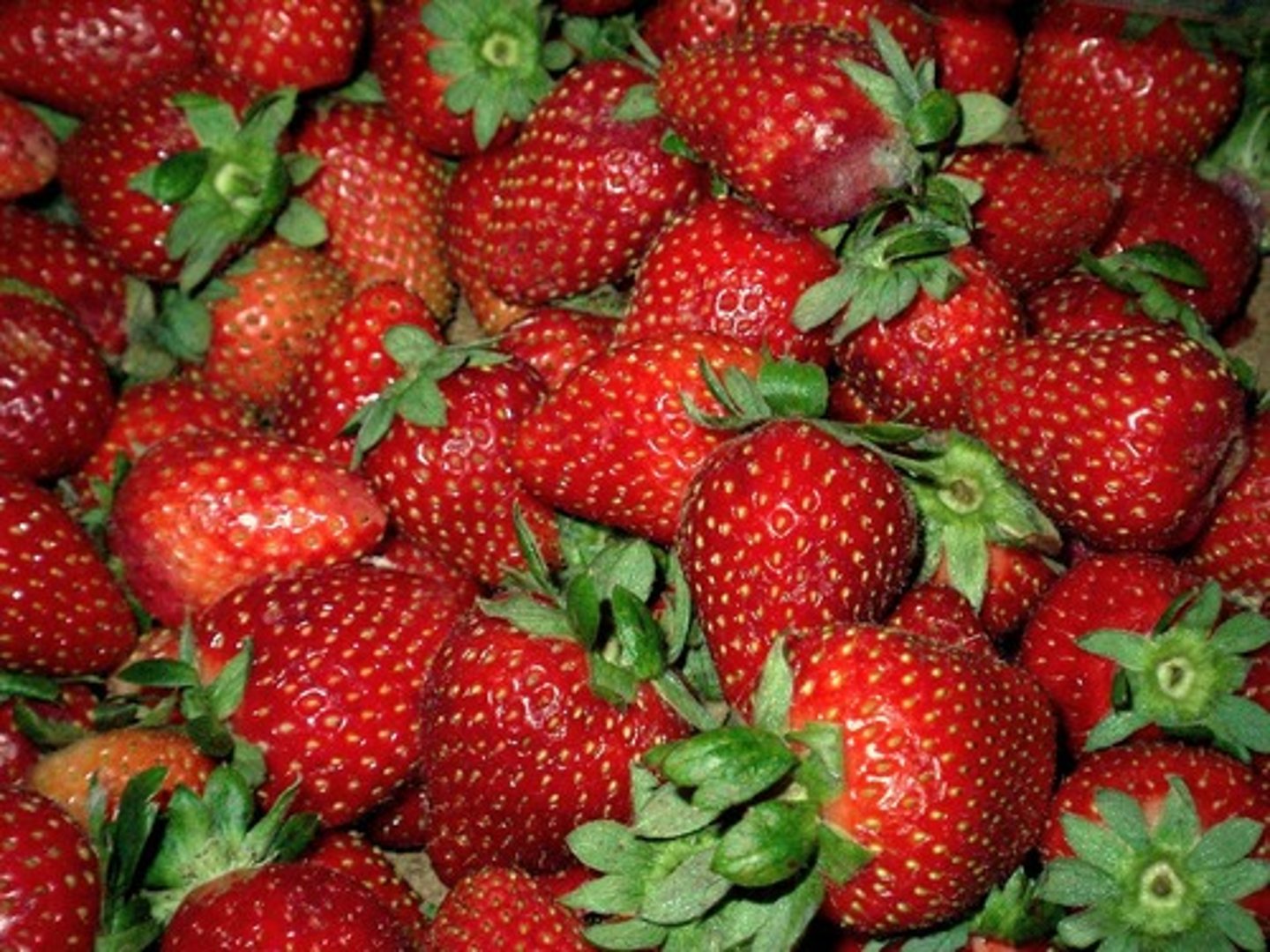 <p>the strawberries</p>