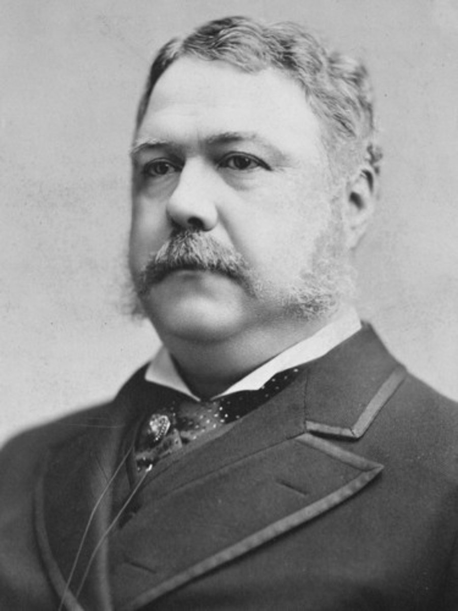 <p>Chester Arthur 1881-1885 (Republican)</p>