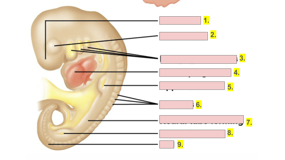 <p>4.</p>