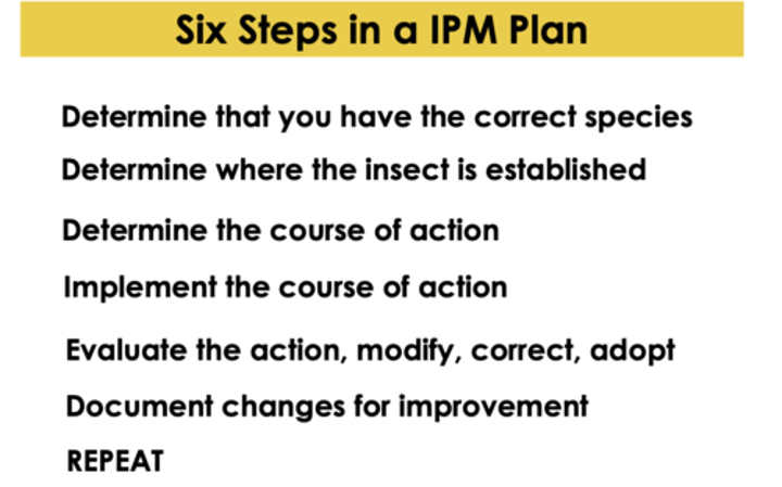 <p>-Determine you have the correct species<br><br>-Determine where the insect is established<br><br>-Determine the course of action<br><br>-Implement the course of action<br><br>-Evaluate the action, modify, correct, adopt<br><br>-Document changes for improvement<br><br>-REPEAT</p>