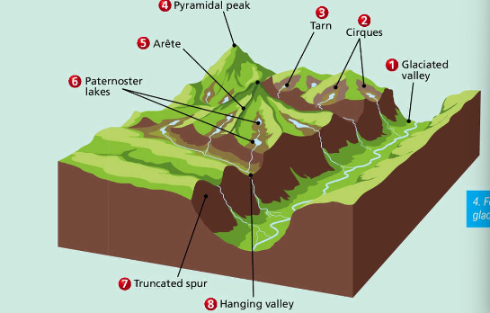 <p>glaciated valley</p><p>cirque</p><p>tarn</p><p>pyramidal peak</p><p>arete</p><p>paternoster lakes</p><p>truncated spur</p><p>hanging valley</p><p>fjords</p>