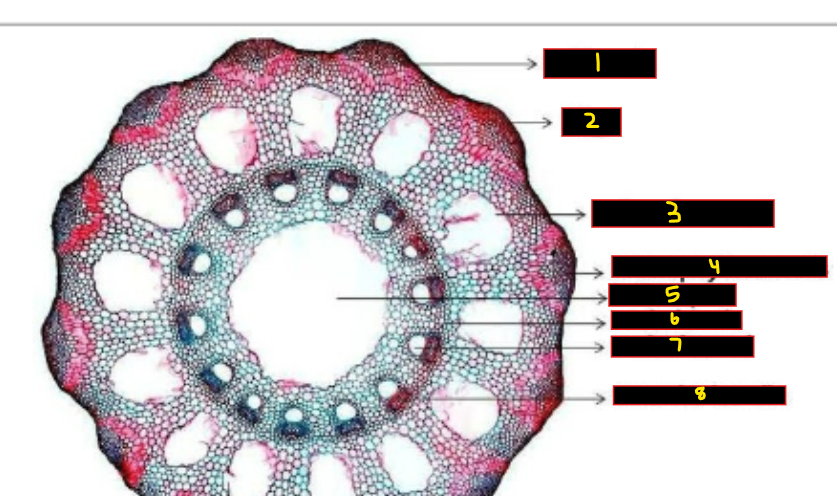 <p>What is 6? </p>