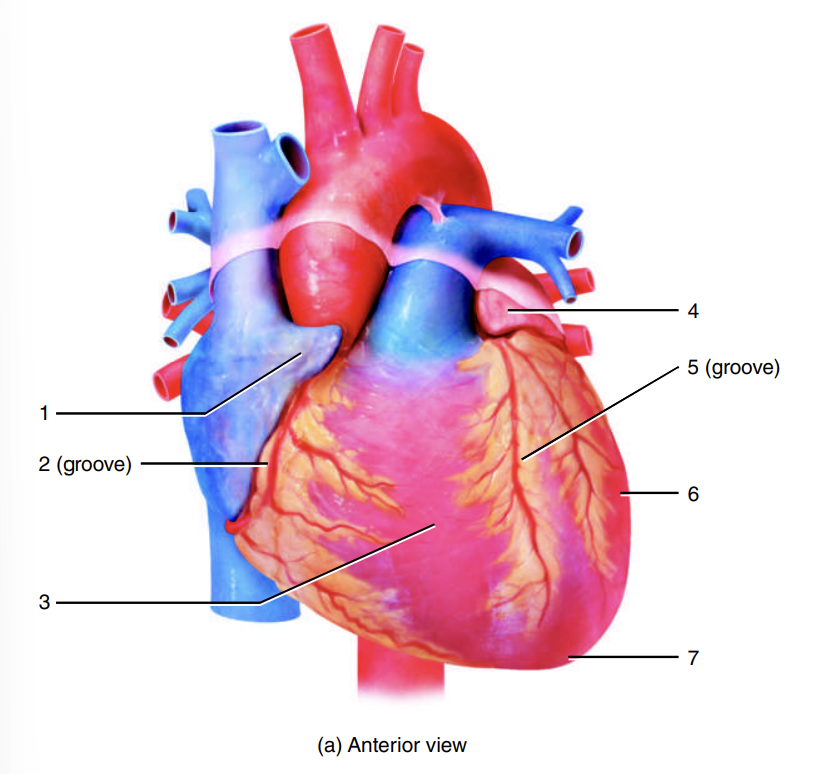 <p>1</p>
