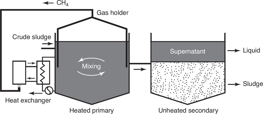 <ul><li><p><strong>Liquid fuel</strong> from living organisms.</p></li><li><p><strong>Biodegradable</strong> &amp; can be converted into:<br><span data-name="car" data-type="emoji">🚗</span> <strong>Biodiesel</strong><br><span data-name="tractor" data-type="emoji">🚜</span> <strong>Bioethanol</strong> (powers vehicles).</p></li><li><p><strong>Renewable</strong> &amp; can be produced <strong>anywhere</strong> (unlike fossil fuels).</p></li></ul><p></p>