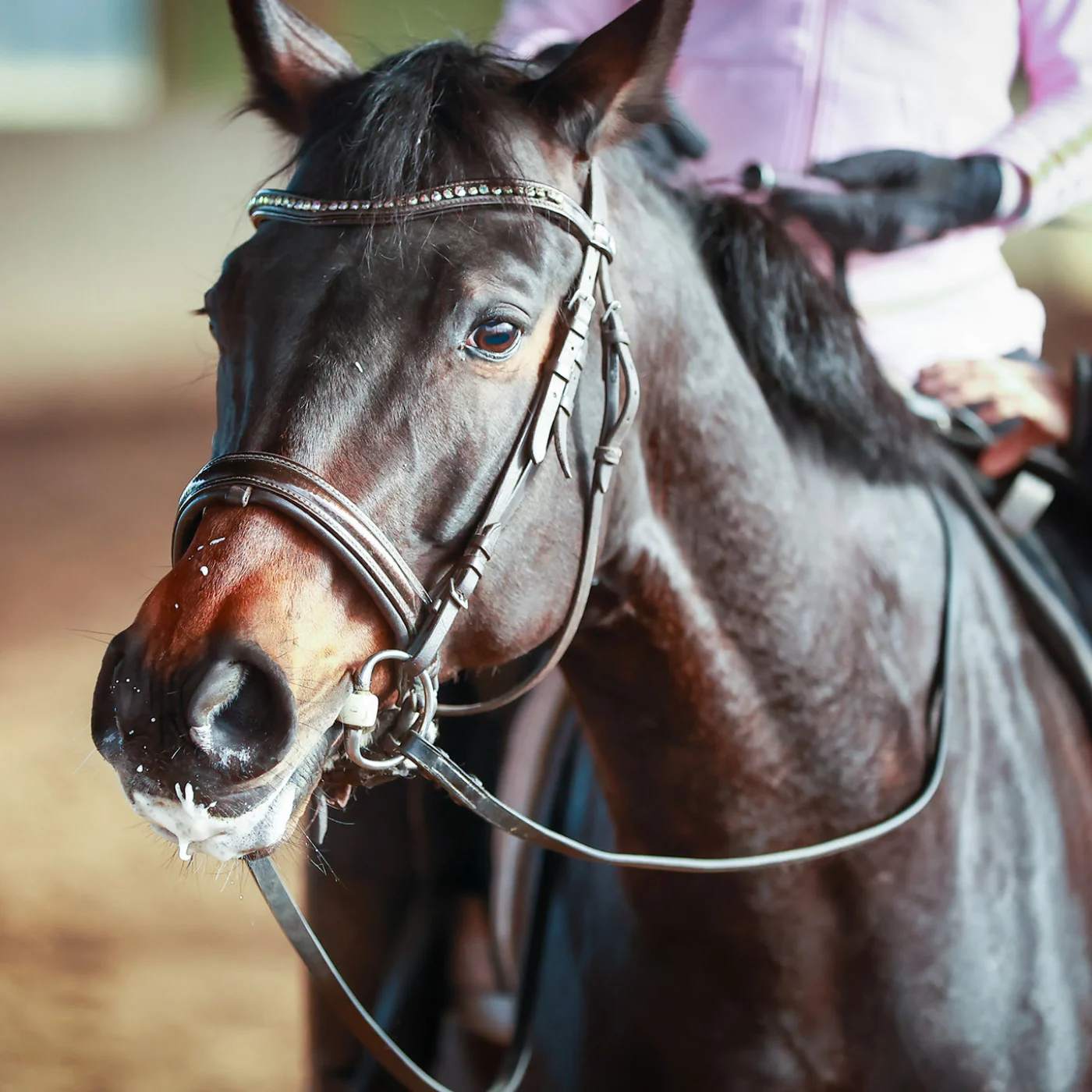 <p>(The horse was)<strong> foaming at the mouth</strong></p>