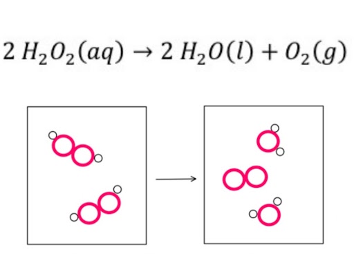 <p>Representations of Reactions</p>