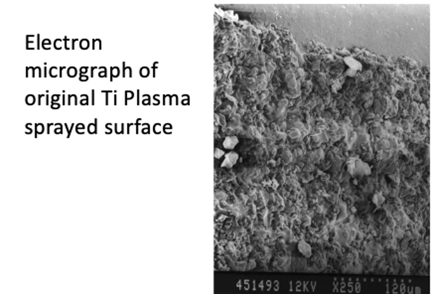 <p>- Surface roughness</p><p>- Surface coatings</p><p>- Surface preparation: sandblasted/air abraded w/ titanium oxides (‘moderately rough’)</p>