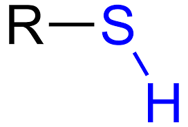 <p>-SH</p><ul><li><p>prefix: Mercapto-</p></li><li><p>suffix: thiol</p></li></ul><p></p>