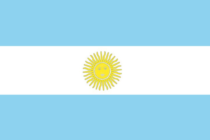 <p>Colors: sky, clouds, and sun, or loyalty towards the House of Bourbon.</p><p>Sun of May = replica of an engraving on the country’s first coin in 1813.</p>