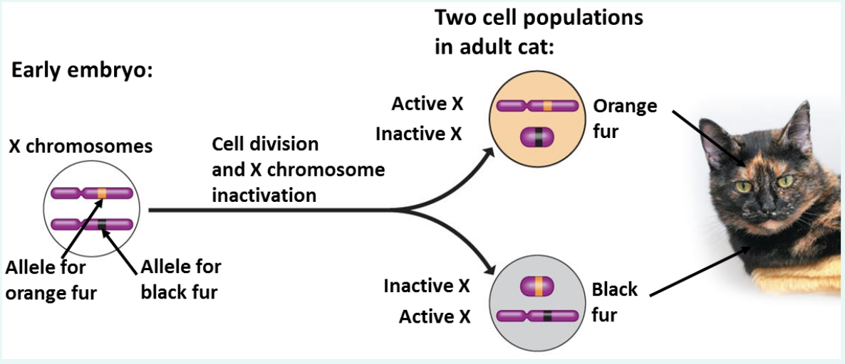<p>use vid to explain</p>