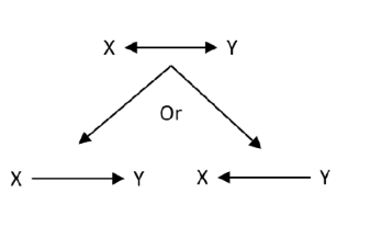 <ul><li><p>Y to X </p></li></ul><p></p>