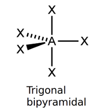 <ul><li><p>trigonal bipyramidal</p></li><li><p>90° between the BP on the same plane or 120°</p></li></ul><p></p>