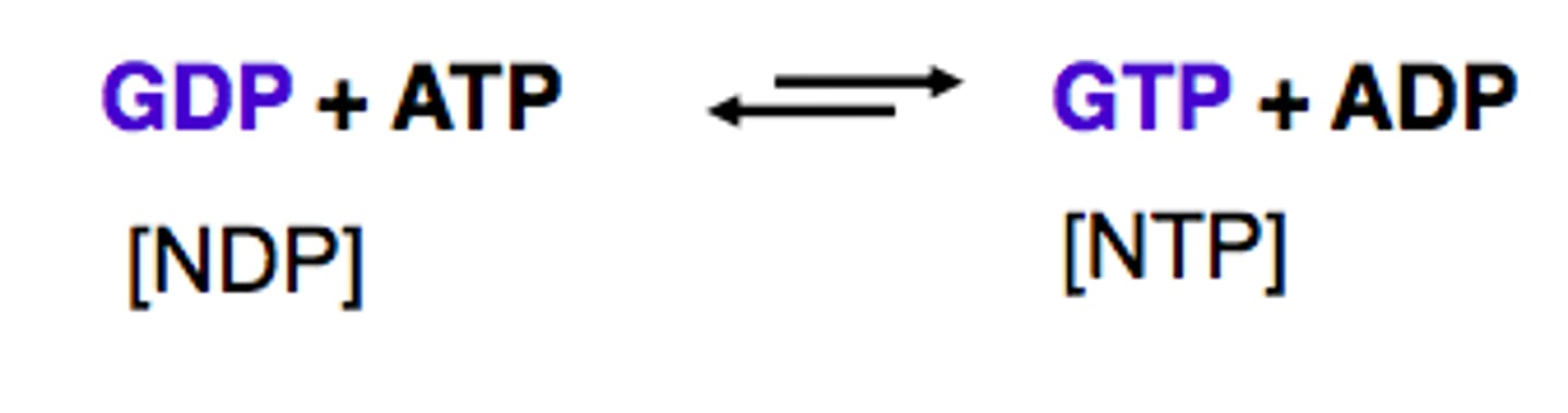 <p>catalyzes this:</p><p>UDP + ATP --&gt; ADP + UTP</p>