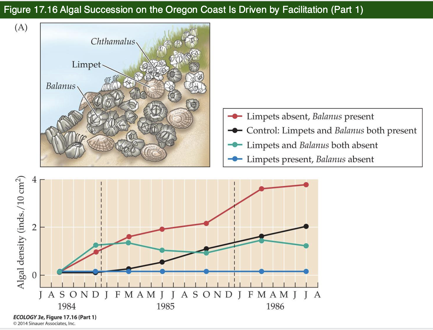 <p><span>Succession summary</span></p>