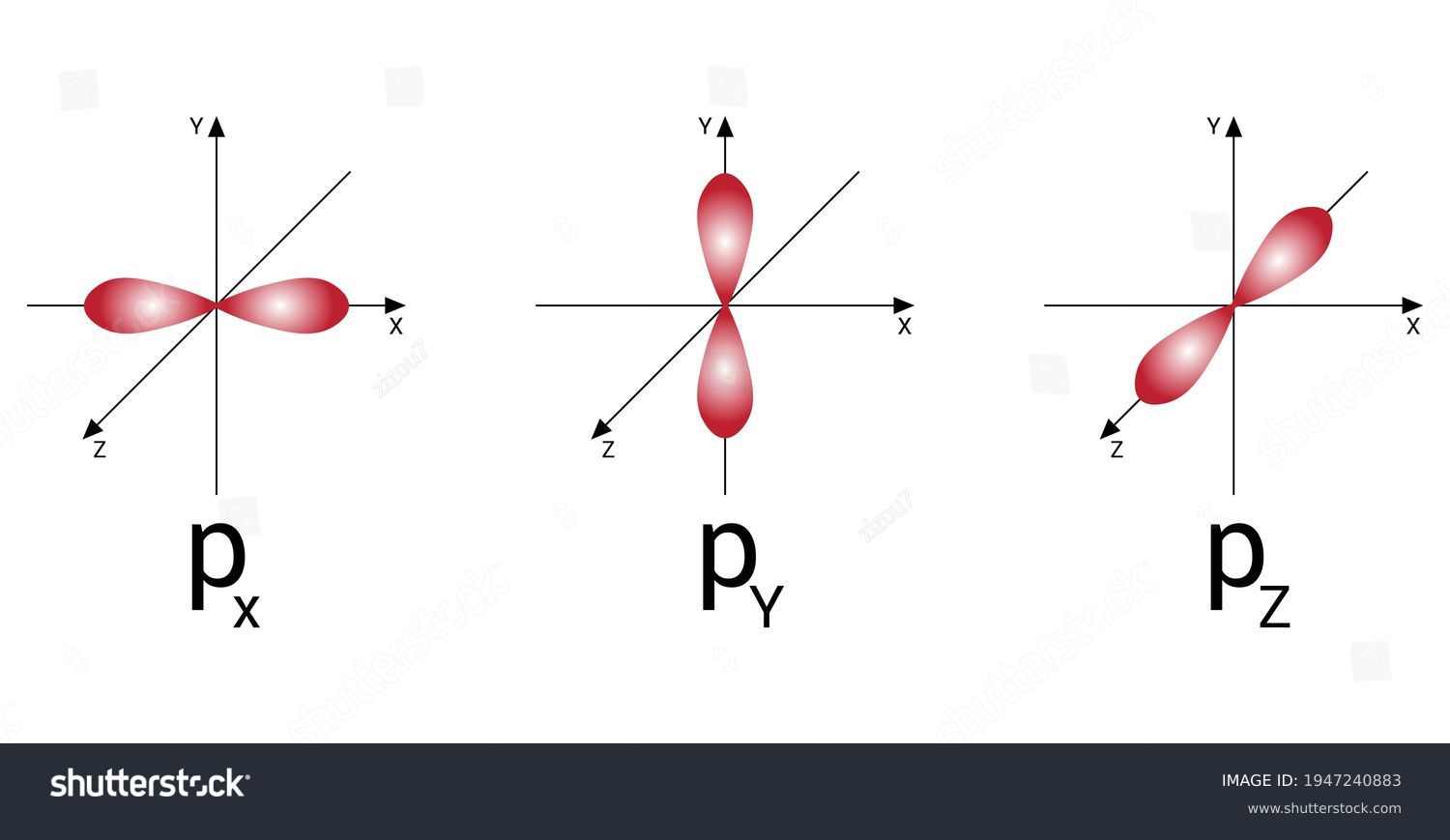 <p>Dumbbell shape in x, y, and z</p>