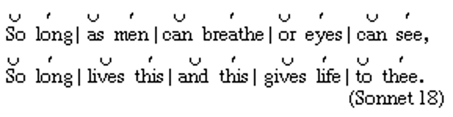<p>A common meter in poetry consisting of an unrhymed line with five feet or accents, each foot containing an unaccented syllable and an accented syllable.</p>