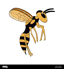 <p>wasp</p>