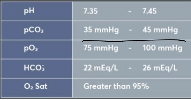 <p>If at that moment Kathy underwent an arterial blood gas measurement, which of the below values would you expect?</p><p>A. P02 =110mmHg (14.7kPa), PCO2= 40mmHg (5.4kPa), ph=7.40</p><p>B. P02 =110mmHg (14.7kPa), PCO2=35mmHg (4.7kPa), ph=7.55</p><p>C. P02 =70mmHg (9.3kPa), PCO2=35mmHg (4.7kPa), ph=7.40</p><p>D. P02 =56mmHg (7.5kPa), PCO2=40mmHg (5.4kPa), ph=7.40</p><p>E. P02 =56mmHg (7.5kPa), PCO2=35mmHg (4.7kPa), ph=7.55</p>