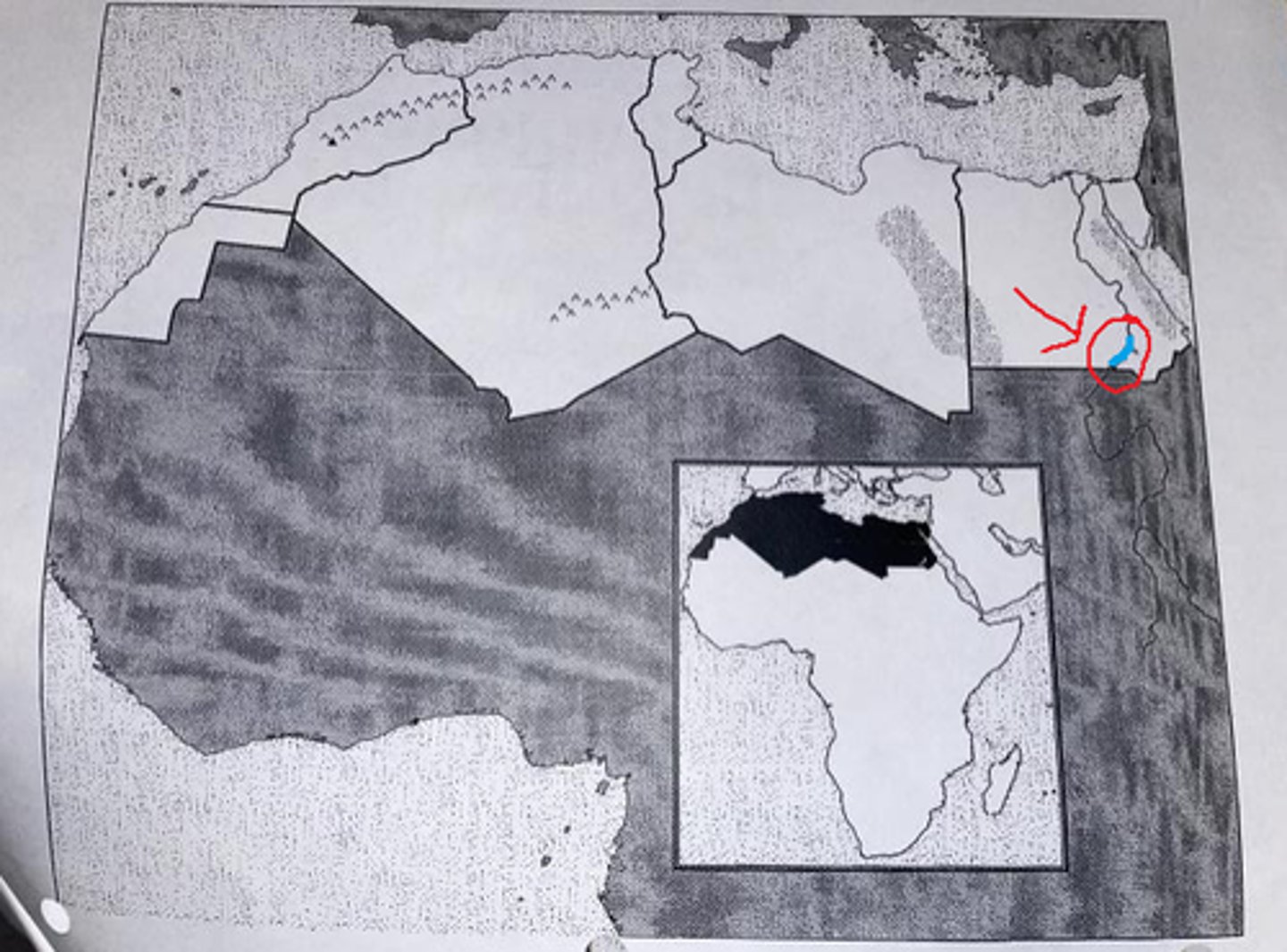 knowt flashcard image