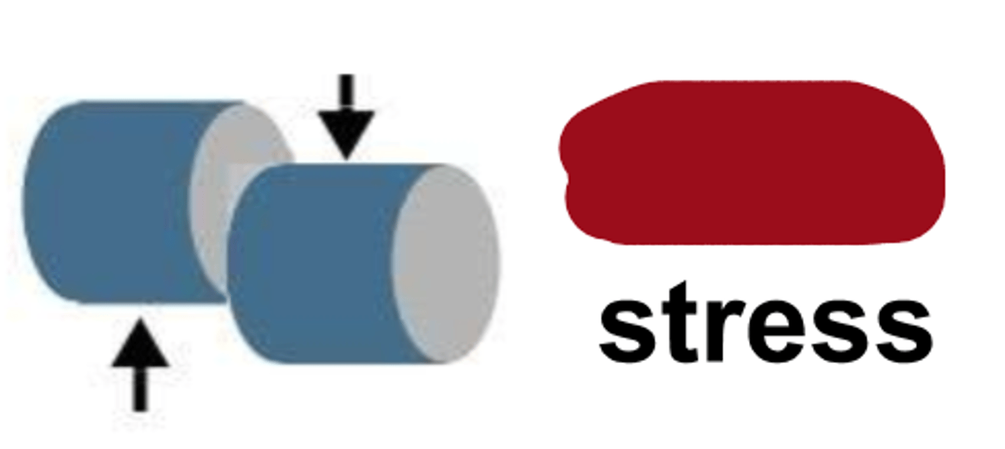 <p>type of stress?</p>