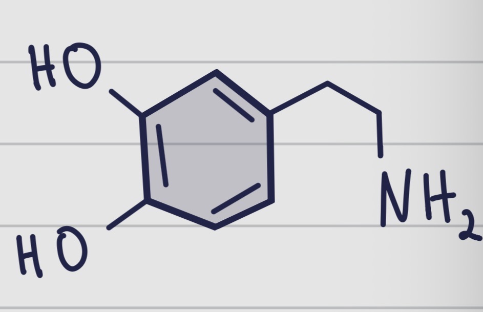 <p>De quelle molécule s’agit il ? </p>