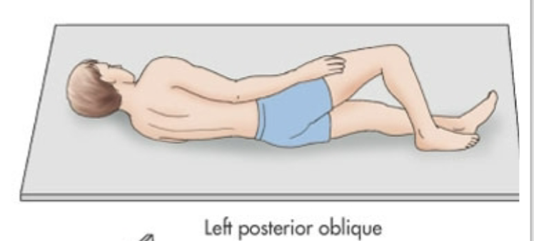 <p>Laying on left side but more tilted on their back</p>