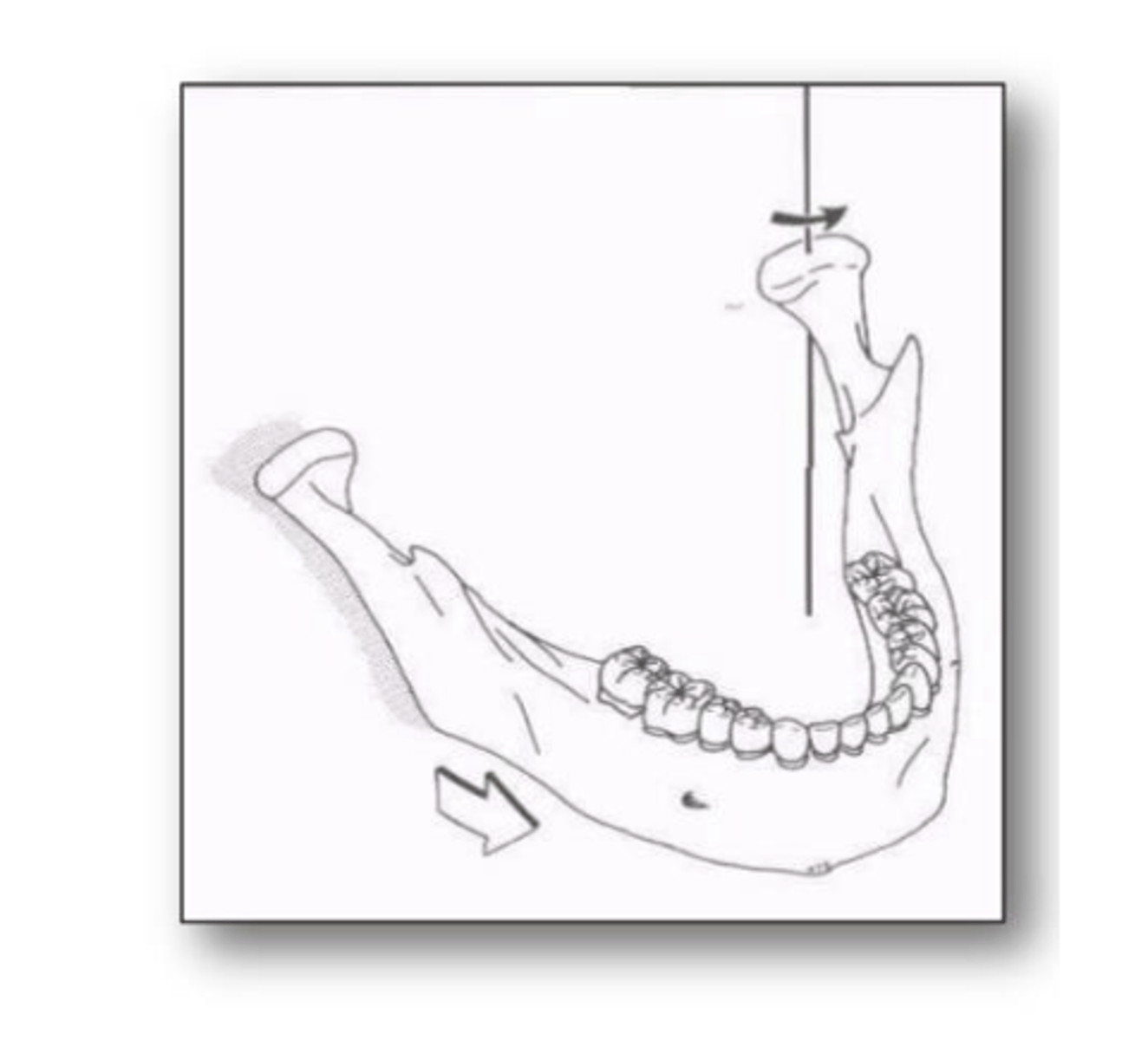<p>öppning och stängning</p>
