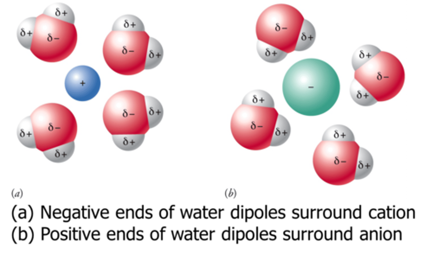 <p>Coulombic attractions between ions and polar molecules</p>