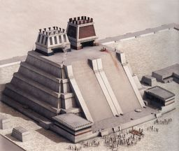 term image