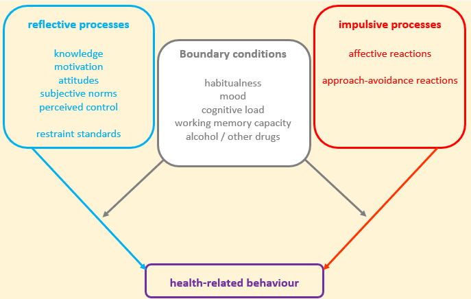 <ul><li><p><span>Components may be multifaceted</span></p></li><li><p><span>Recognises that we are not robots that always pick best option for us, it takes into account impulsive processes which are likely to be caused by emotions and other senses</span></p></li><li><p><span>Boundary conditions is to what extent we are influenced by these processes</span></p></li></ul><p></p>