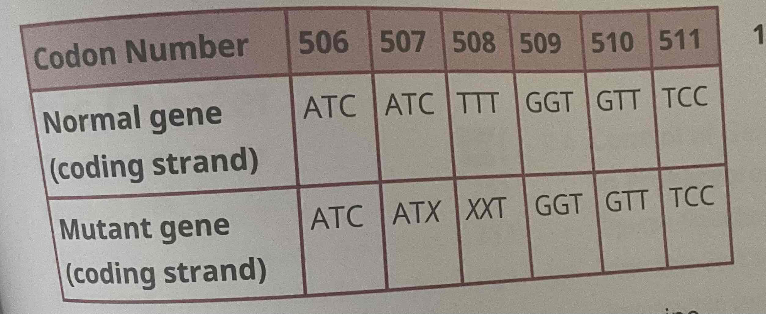 <p>A 4-year-old toddler with cystic fibrosis (CF) is seen by his physician for an upper respiratory infection. Prior genetic testing has shown that there has been a deletion of three base pairs in exon 10 of the CFTR gene that affects codons 507 and 508. The nucleotide sequence in this region for normal and mutant alleles is shown below (X denotes the missing nucleotide):</p><p>What effect will this mutation have on the amino acid sequence of the protein encoded by the CFTR gene?</p><p>A) Deletion of a phenylalanine residue with no change in the C-terminus sequence</p><p>B) Deletion of a leucine residue with no change in the C-terminus sequence</p><p>C) Deletion of a phenylalanine residue with a change in the C-terminus sequence</p><p>D) Deletion of a leucine residue with a change in the C-terminus sequence</p>