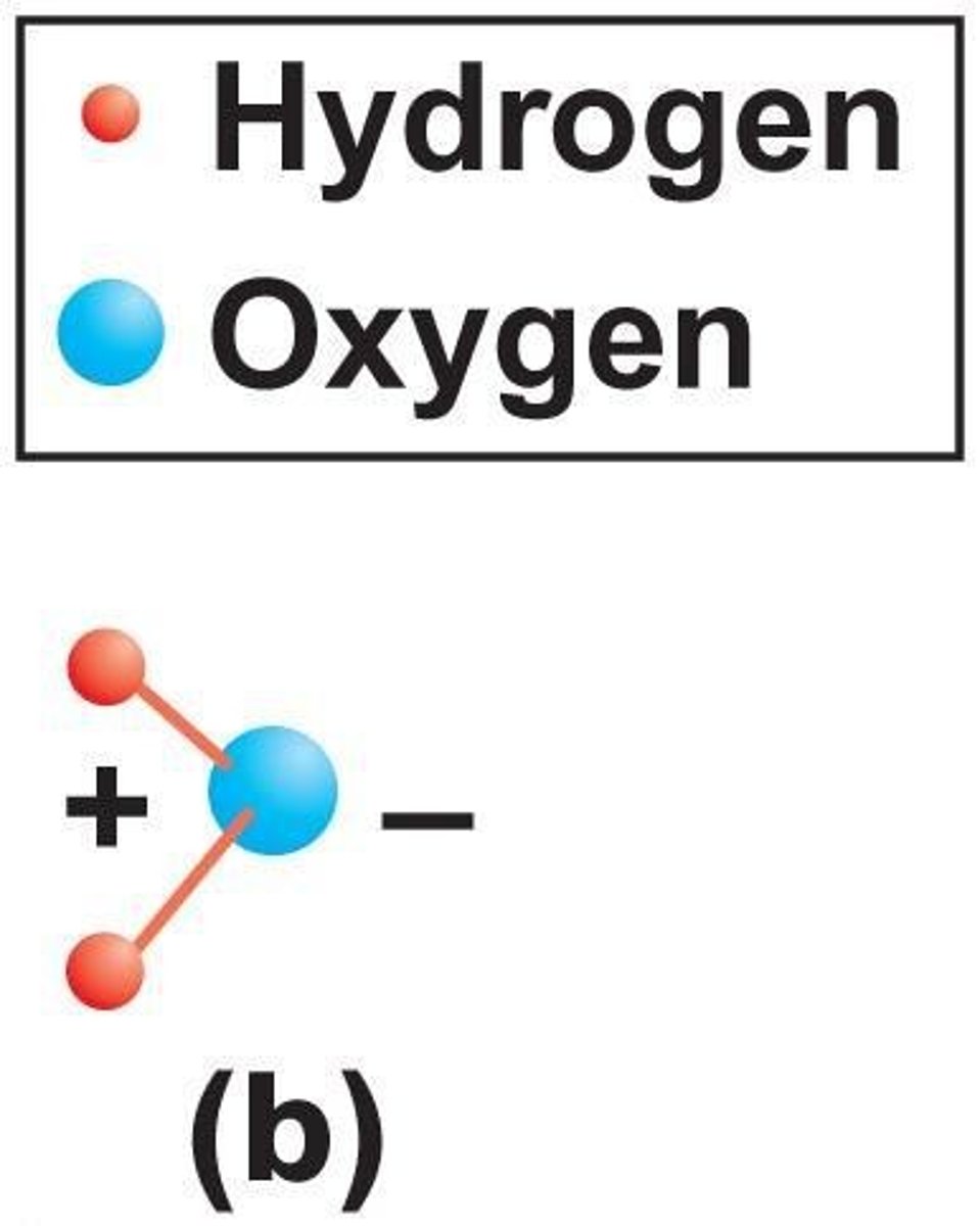 <p>Electron sharing between hydrogen and oxygen.</p>