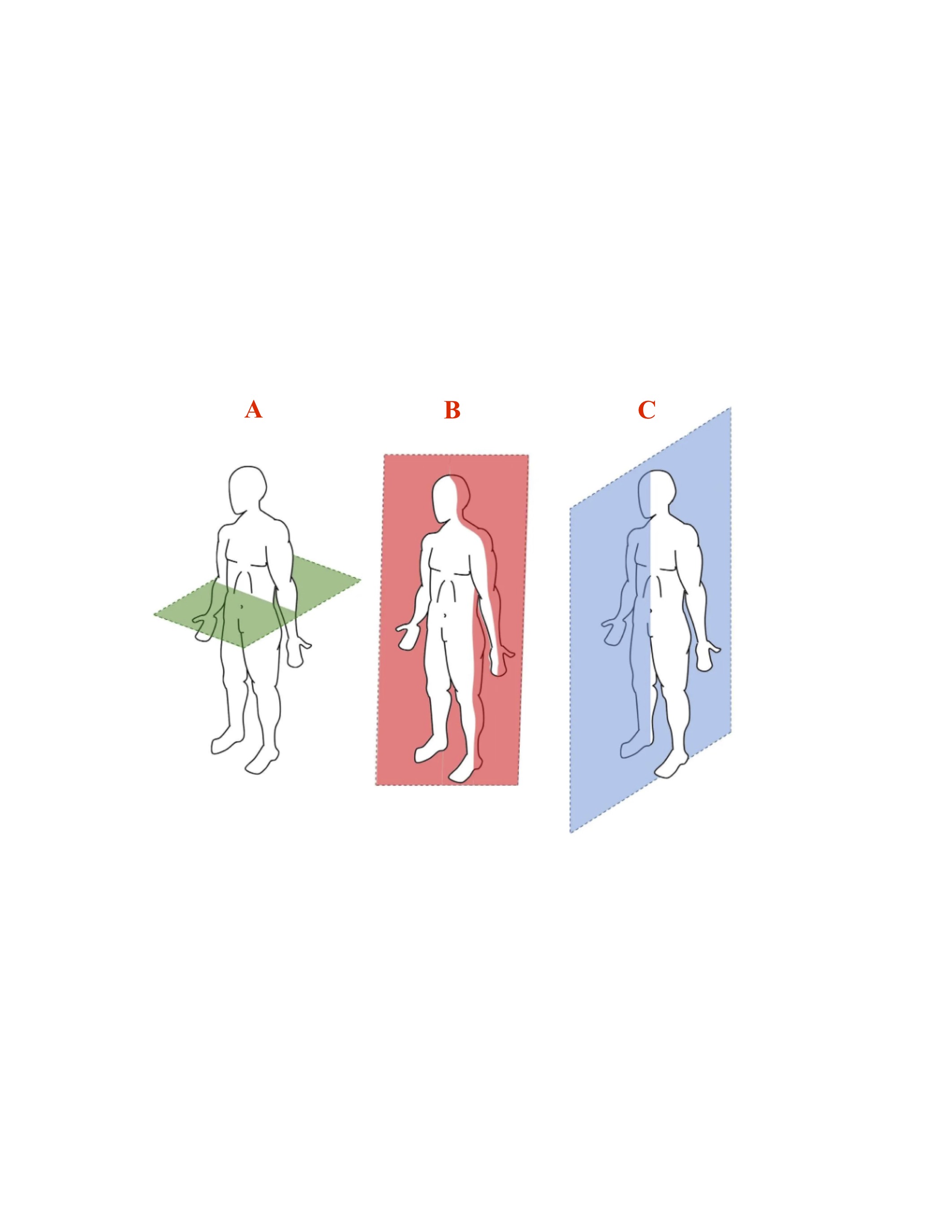 <p>Label correct planes:</p>