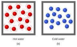 <p><span style="font-family: Arial, sans-serif">Which water molecules have more kinetic energy? Explain your reasoning.</span></p>
