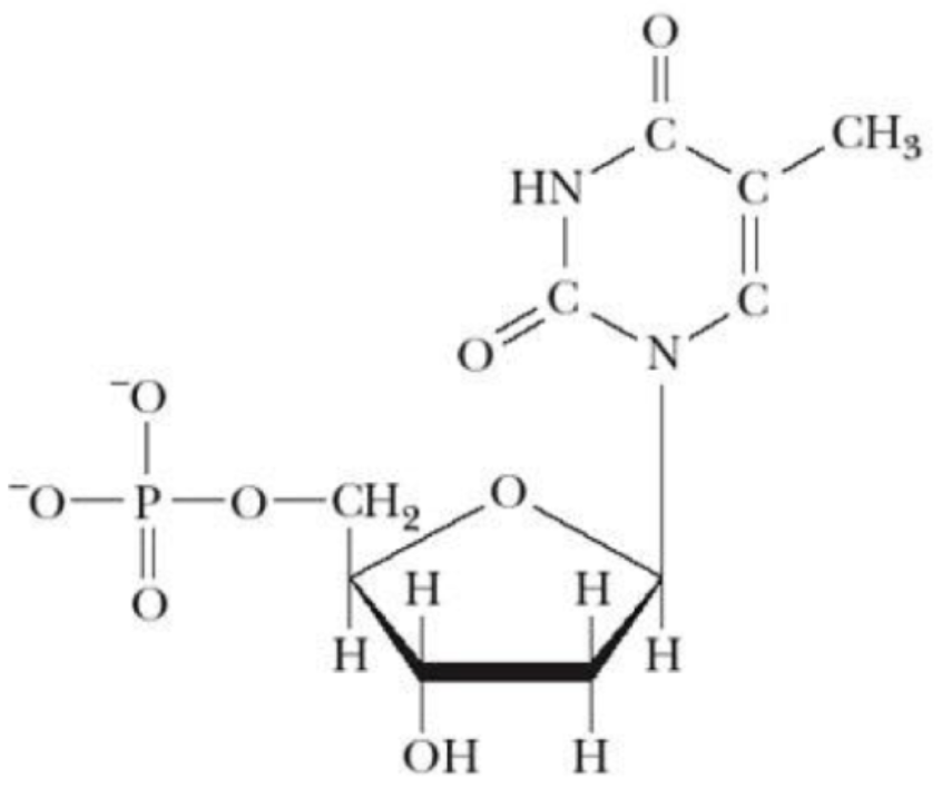 <p>what is this structure?</p>