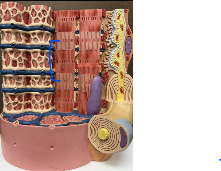 <p>What is this?</p>