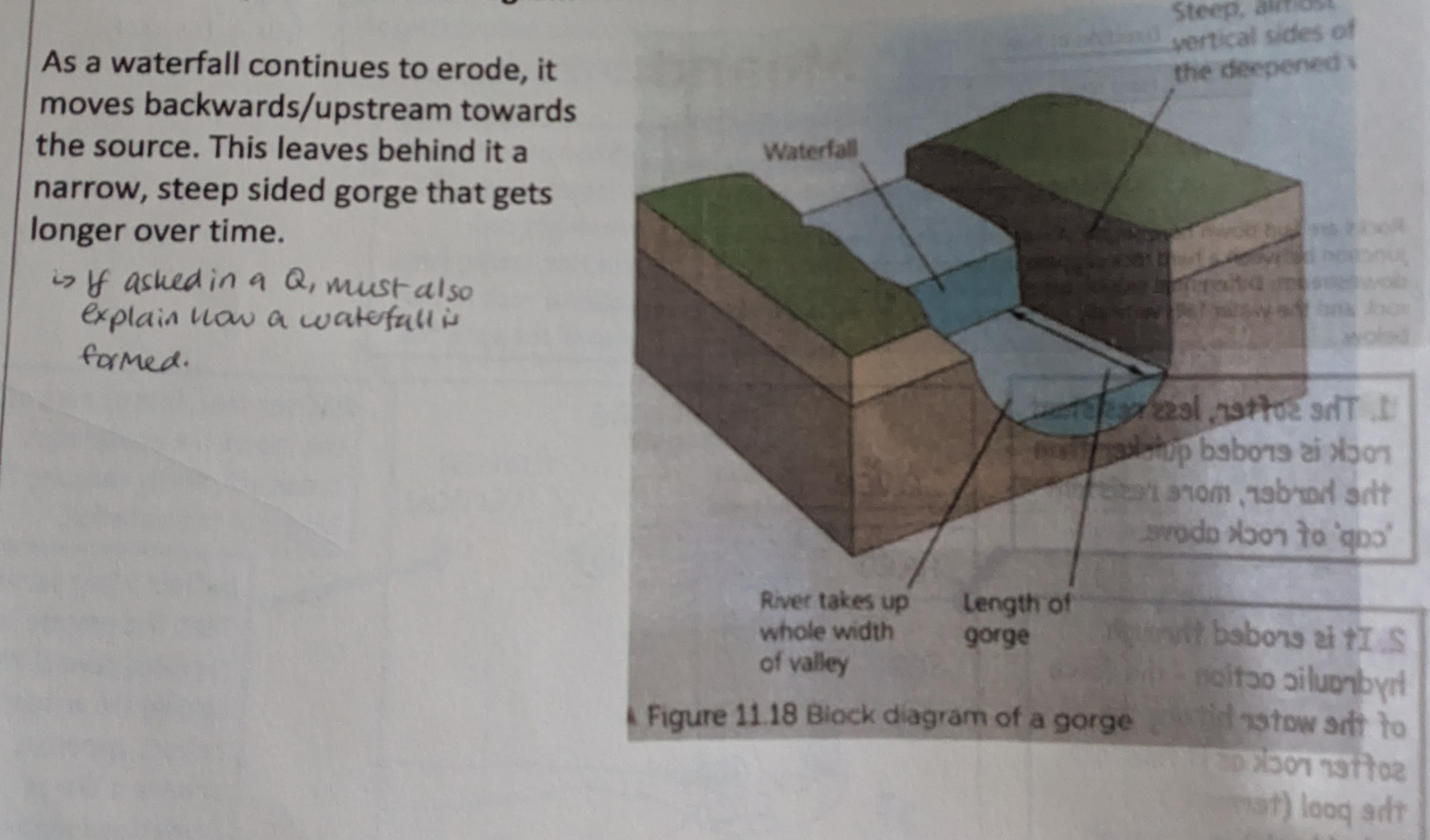 <p>Describe the formation of a gorge.</p>