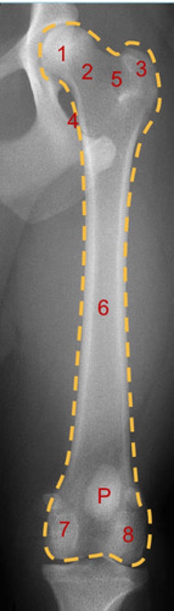<p>What is number 8?</p>