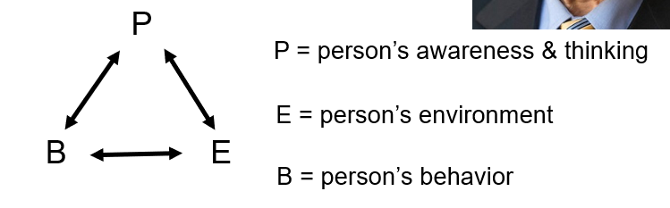 <p><span><span>Behavior, personal factors (cognition), and environmental influences constantly interact and shape each other</span></span></p>