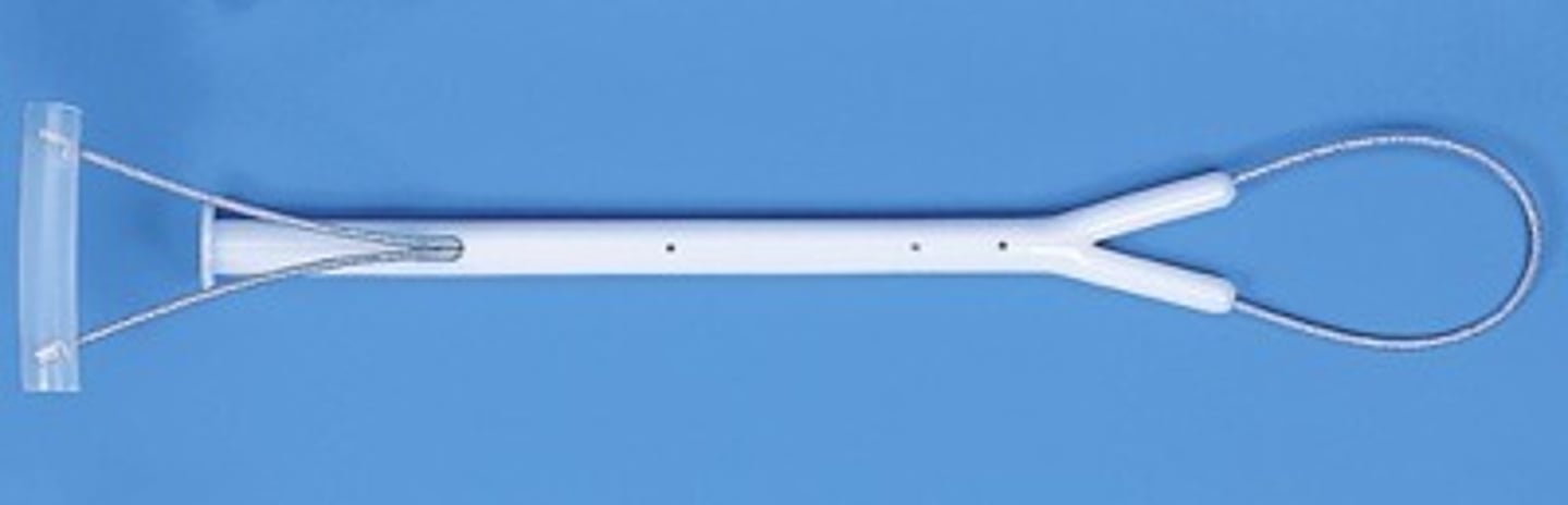 <p>To help a lamb from the birth canal.</p>