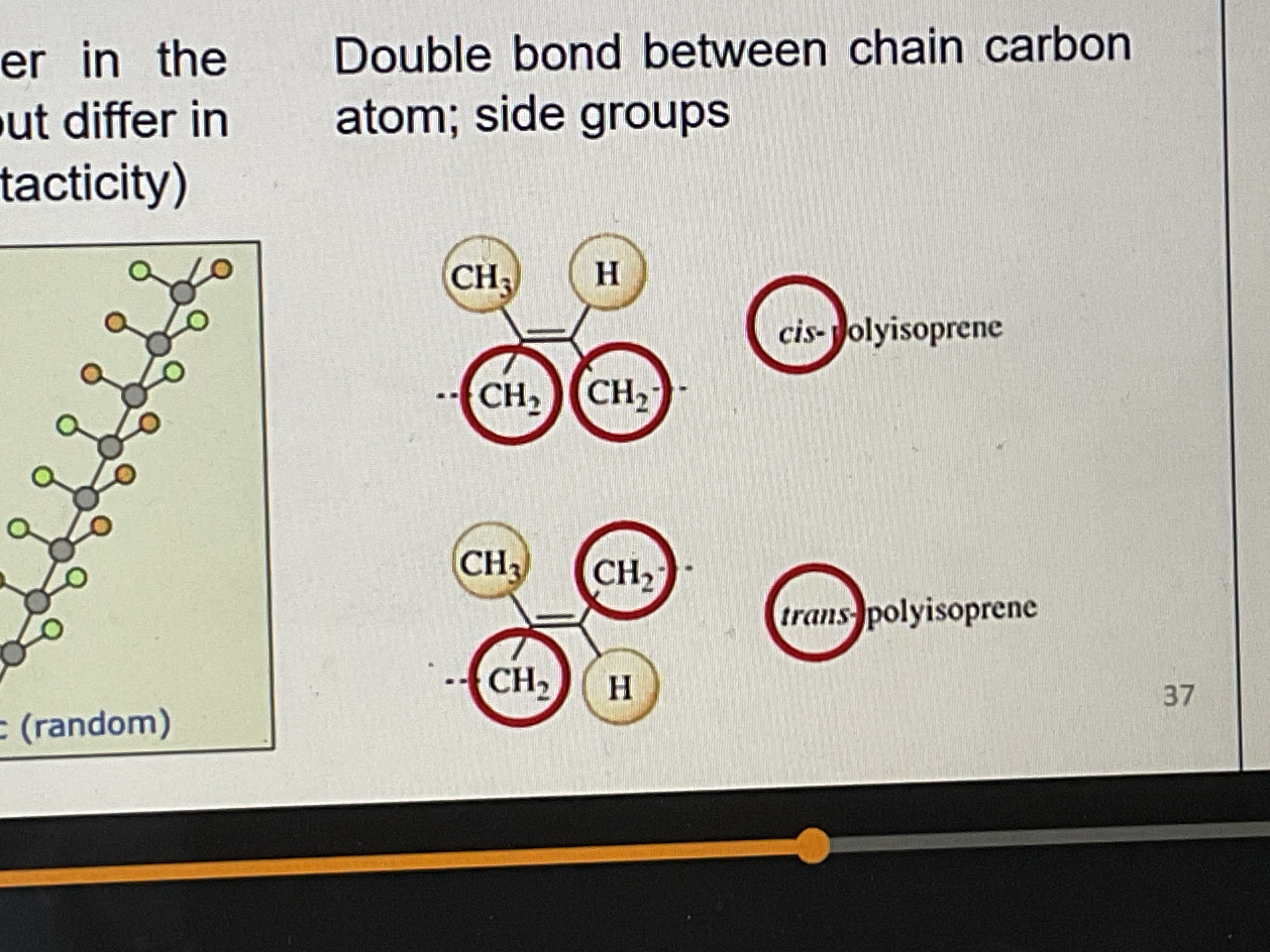<p>Double bond between chain carbon atom; side groups </p>
