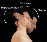 <p>Increase in angle</p>