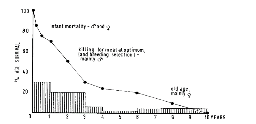 <ul><li><p>less steep than other mortality profiles</p></li><li><p>some reason for males to reach adulthood - meat</p></li></ul>