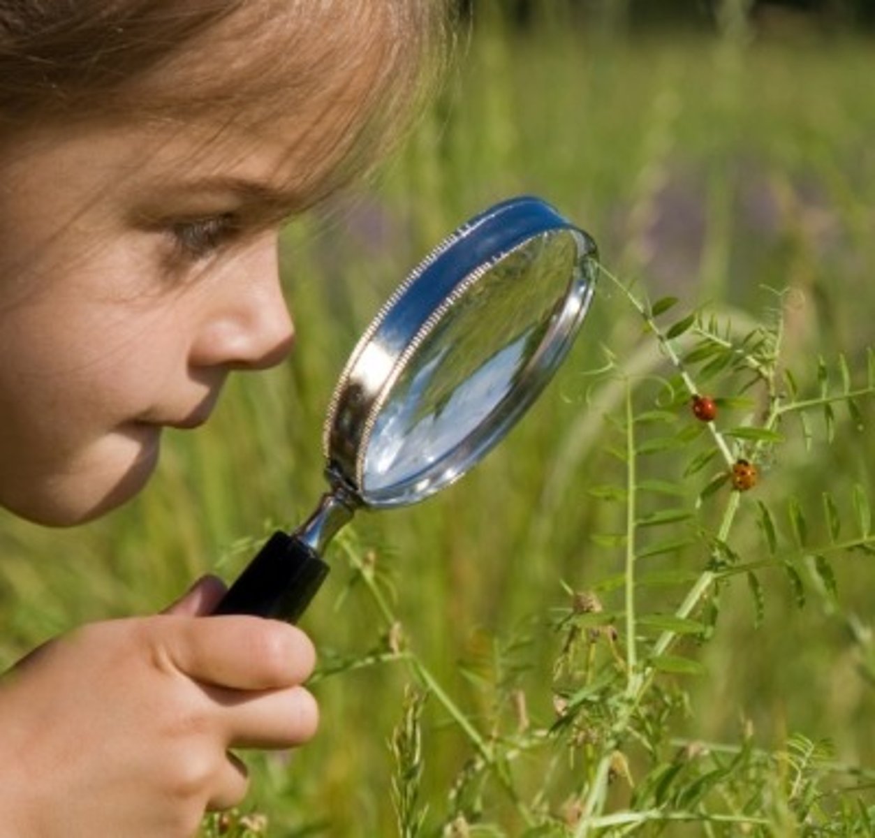 <p>nhận thức, cảm nhận</p>