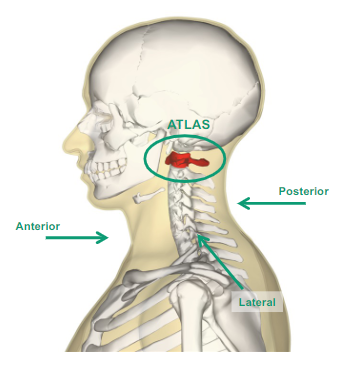 <p>What does Atlas mean?</p>