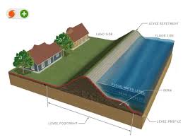 <p>How are levees formed?</p>