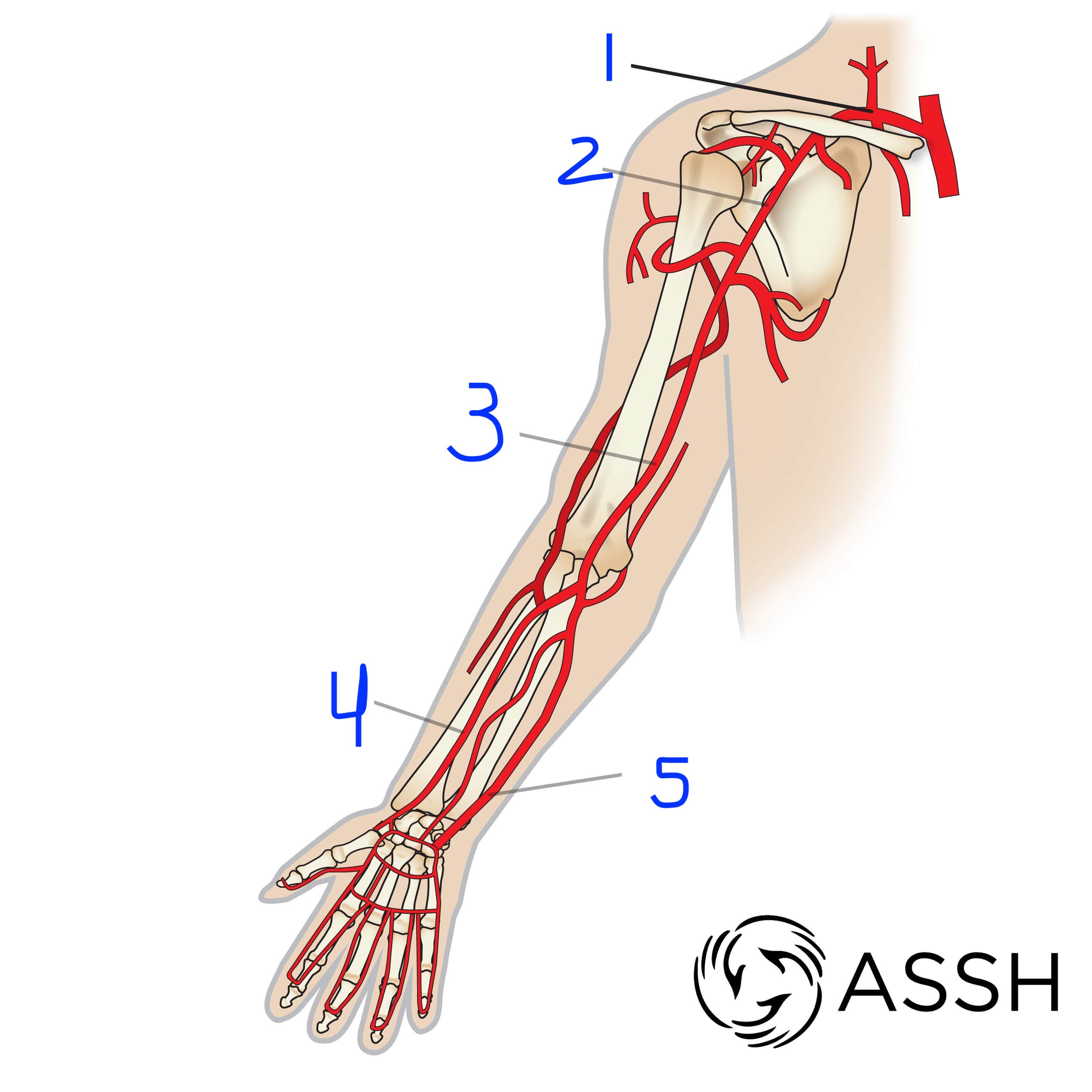 <p>4</p>
