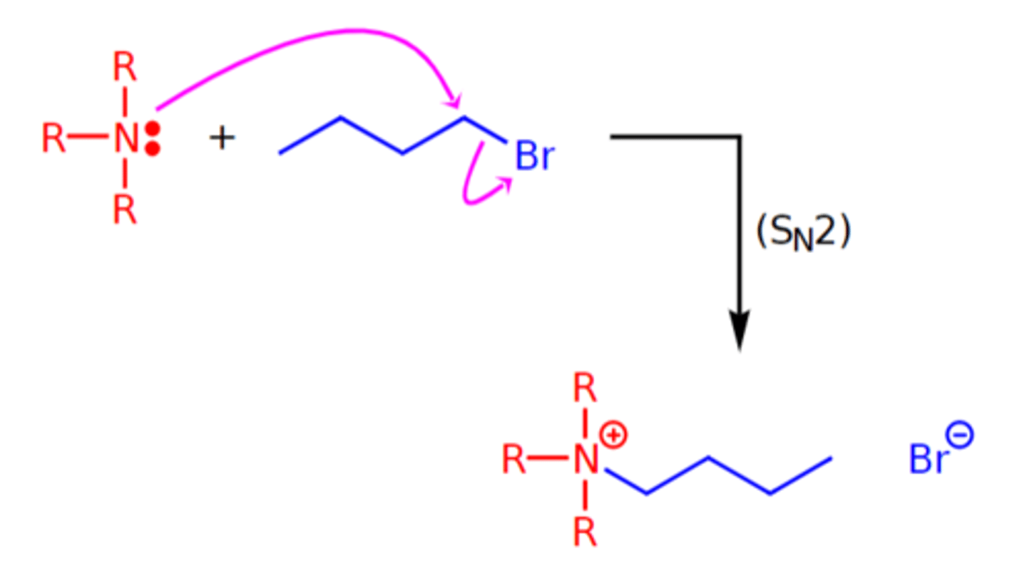 <p>Lower amines can be alkylated by reacting them as nucleophiles with alkyl halides</p>
